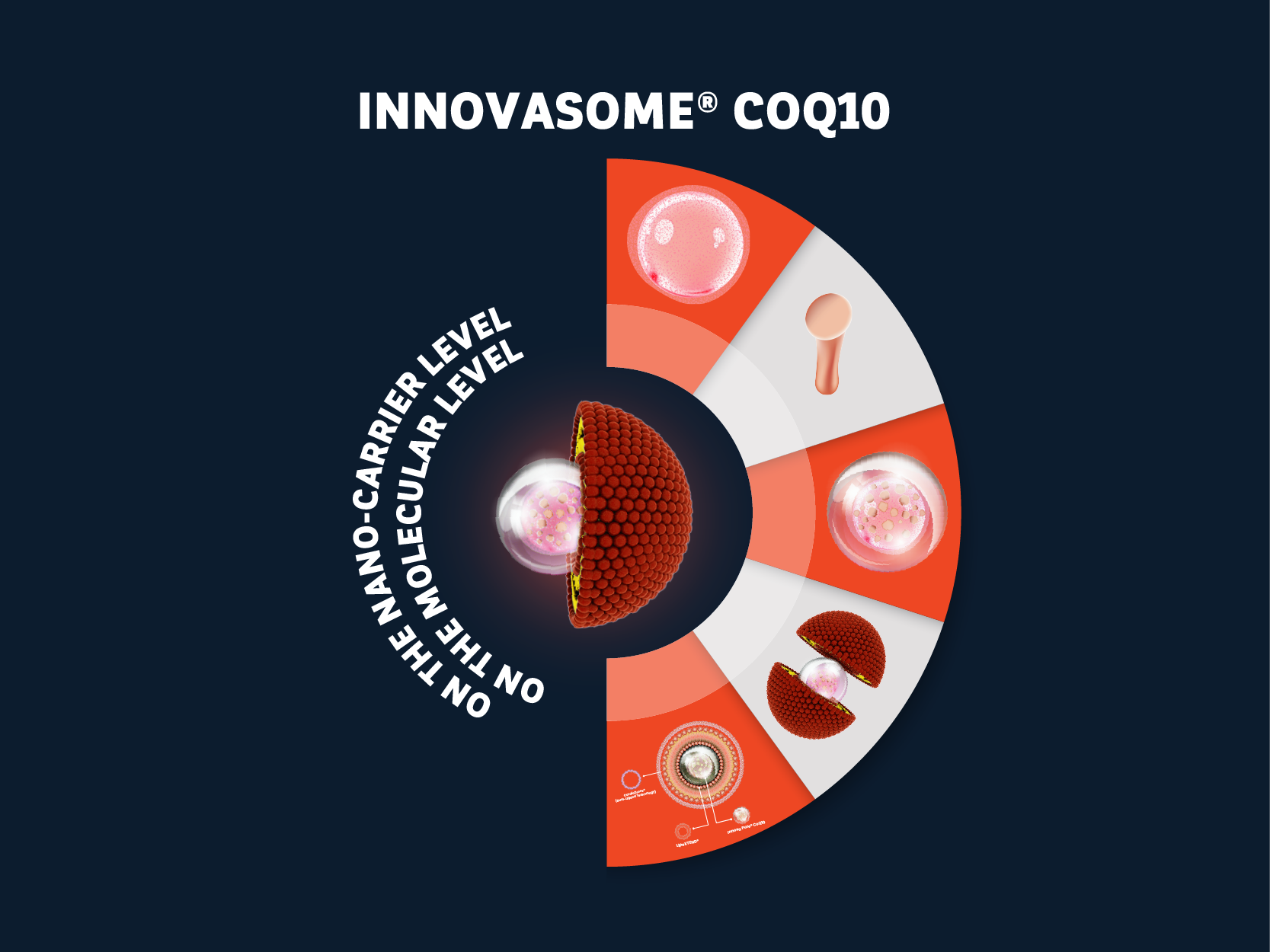 Stressed Cell Visualization