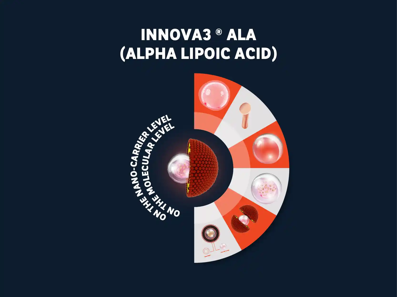 Stressed Cell Visualization